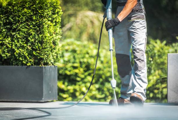Best Driveway Pressure Washing  in River Oaks, TX